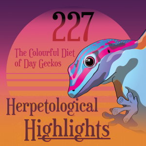 227 The Colourful Diet of Day Geckos