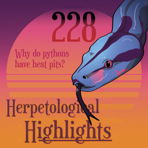 228 Why do pythons have heat pits?