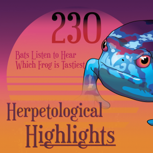 230 Bats Listen to Hear Which Frog is Tastiest