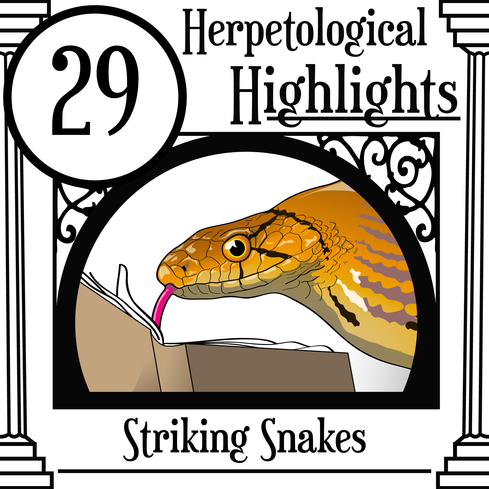 029 Striking Snakes