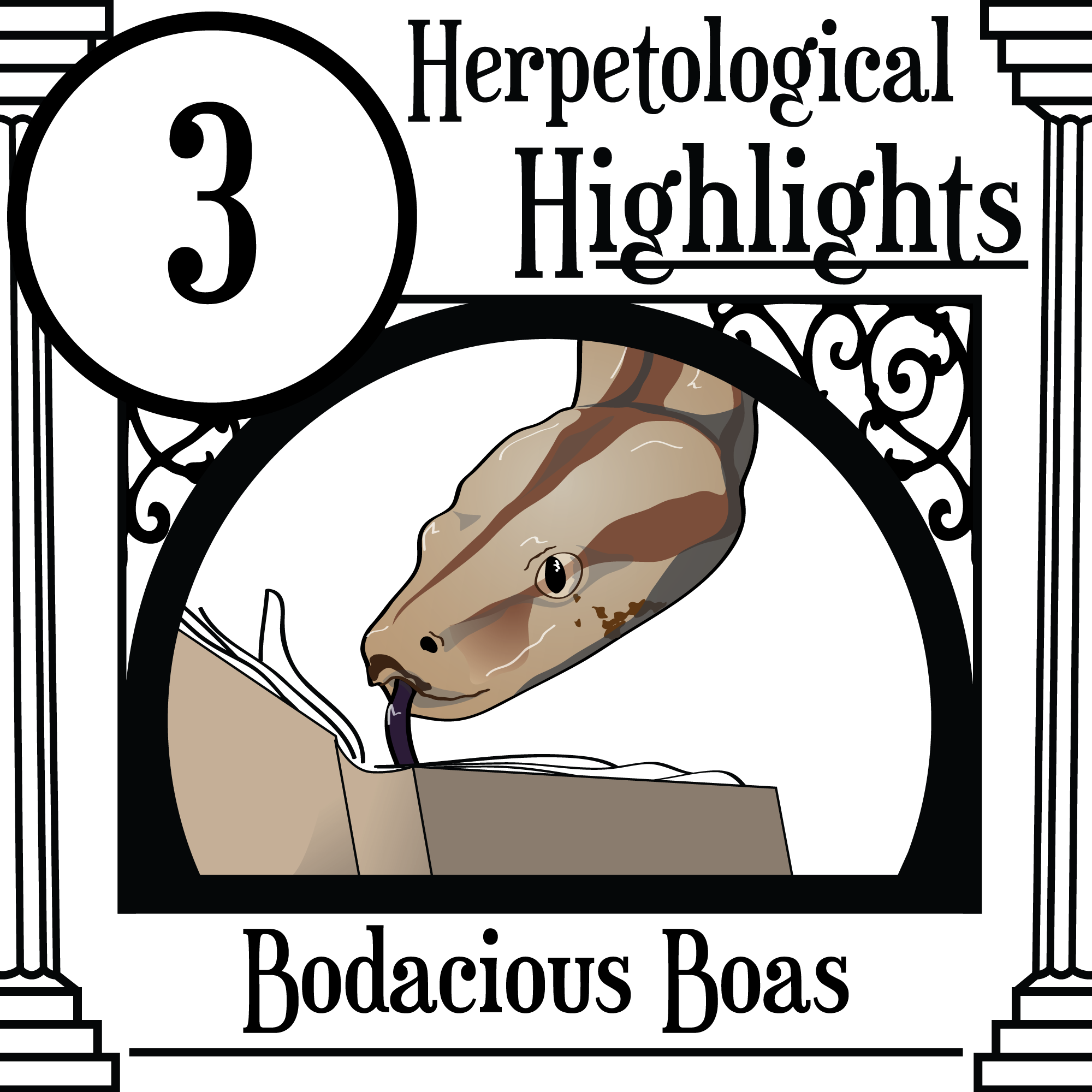 003 Bodacious Boas