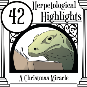 042 A Christmas Miracle