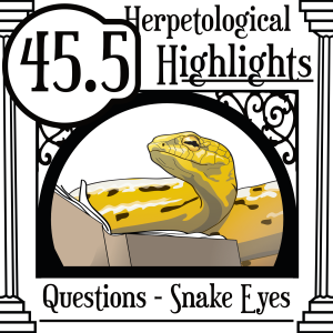 045.5 Question - Snake Eyes