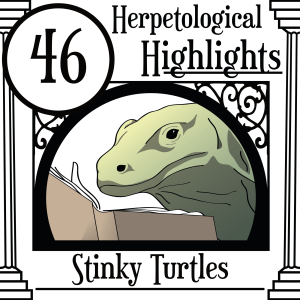 046 Stinky Turtles