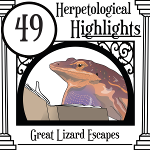 049 Great Lizard Escapes