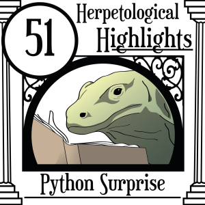 051 Python Surprise