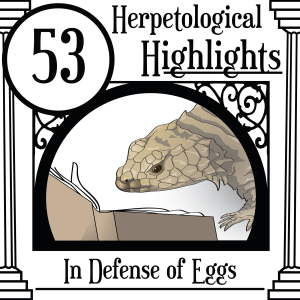 053 In Defense of Eggs