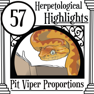 057 Pit Viper Proportions