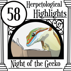058 Night of the Gecko