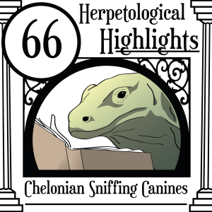 066 Chelonian Sniffing Canines