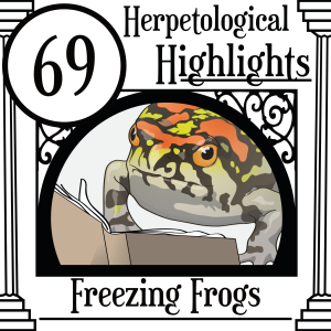069 Freezing Frogs