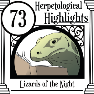 073 Lizards of the Night