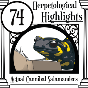 074 Actual Cannibal Salamanders