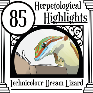 085 Technicolour Dream Lizards