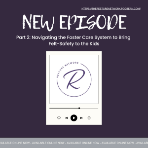 Part 2: Navigating the Foster Care System to Bring Felt-Safety to the Kids