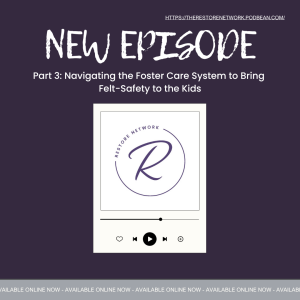 Part 3: Navigating the Foster Care System to Bring Felt-Safety to the Kids