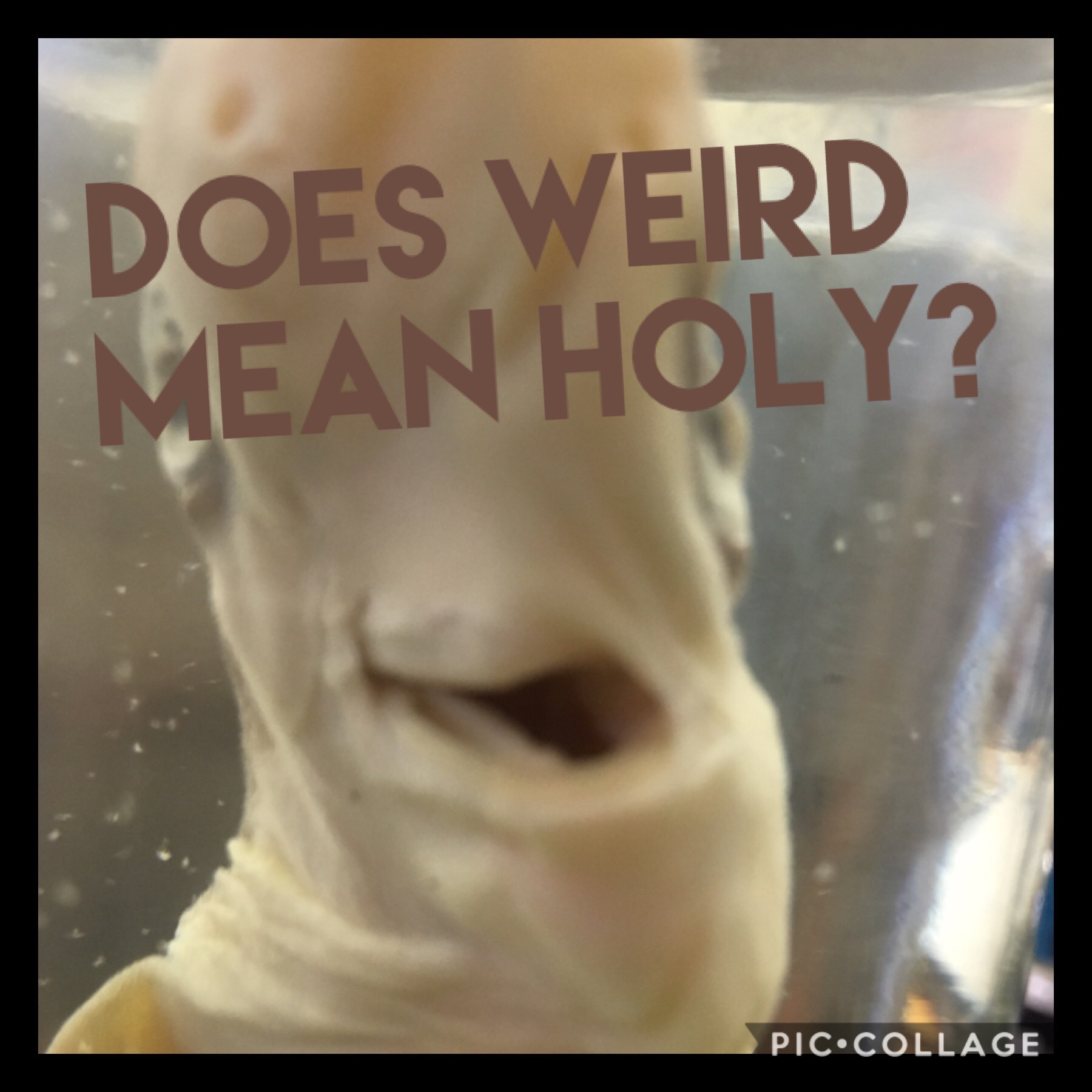 Ep 4 What Does It Mean to be Holy Part 2