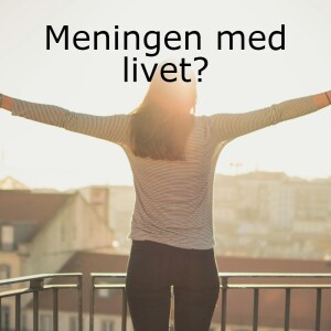 Meningen med livet? Bli rik? Göra rätt saker?