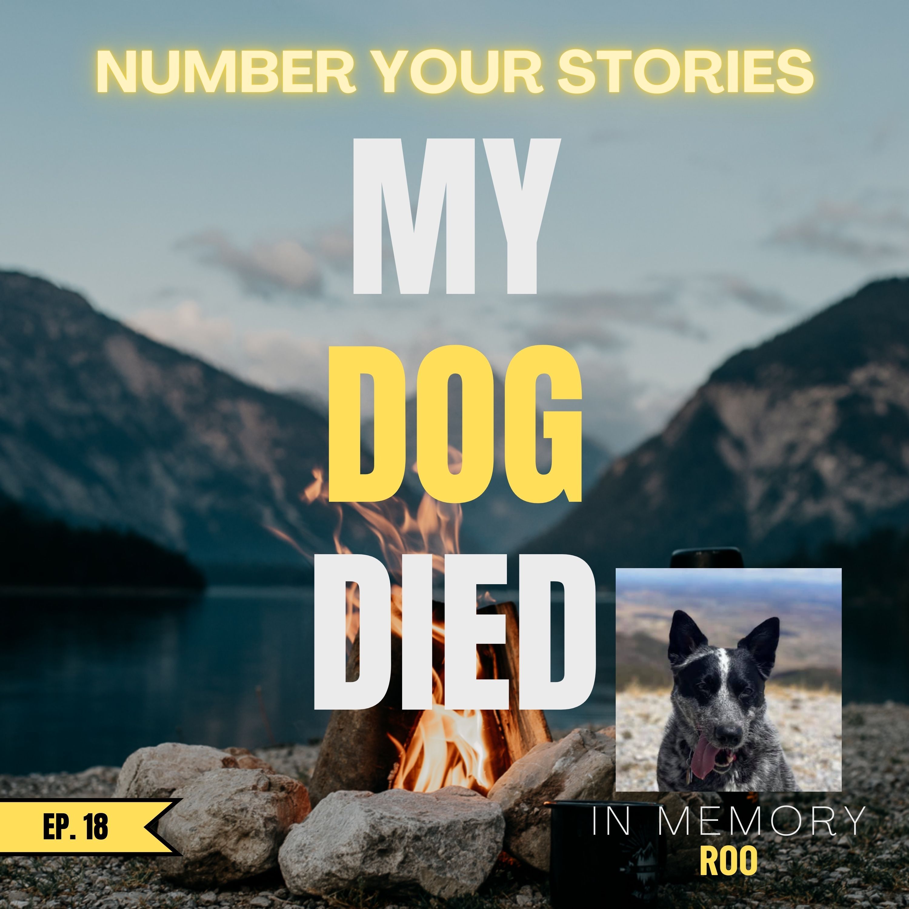 The Number Your Stories Podcast