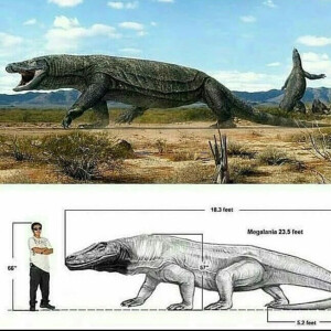 Cryptozoology vs Speculative Zoology: Speculative Evolution Genre is Cryptozoology
