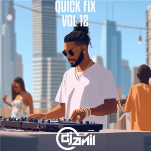 Quick Fix Vol 12