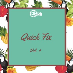 Quick Fix Vol 04