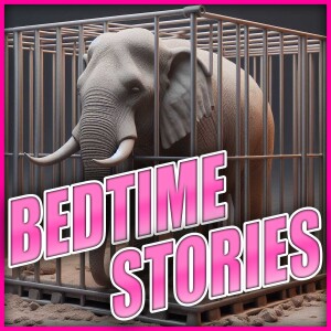 Bedtime Stories - The Gift