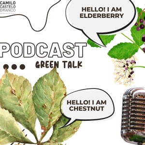 GreenTalk_Elderberry_Chestnut