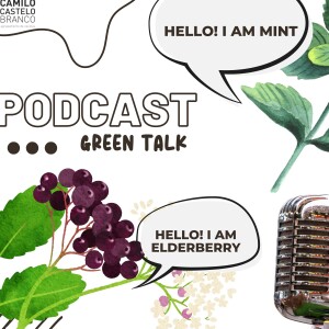 GreenTalk_Mint_Elderberry