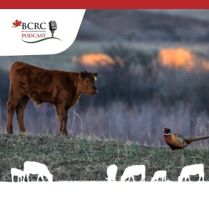 Episode 1: Science confirms the beef industry's environmental benefits