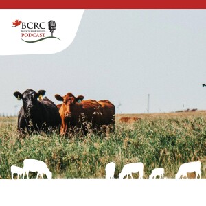 Episode 11: When Do I Turn Out My Cows? Managing Spring Pastures During and After Drought