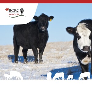 Episode 44: 11 Ways to Avoid Feed Waste this Winter