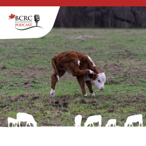 Episode 18: Where There are Cattle, There are Parasites: 9 Tips for Managing Parasites in Your Herd