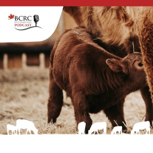 Episode 47: Calving Season Timing and Transition