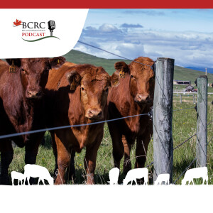 Episode 67: Protect Canadian Livestock from Foot and Mouth Disease