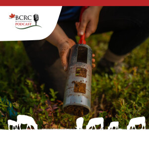 Episode 68: Forage Rejuvenation