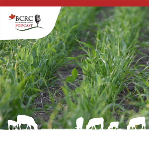 Episode 28: Polycrop Potential: 12 Tips for Using Mixed Forage Crops