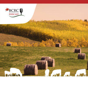 Episode 38: Beat Costs and Boost Yields with Bale Grazing