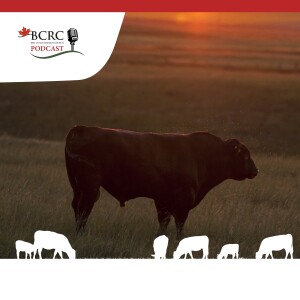 Episode 46: Genetic IQ: Defining Traits That Matter in Your Beef Herd