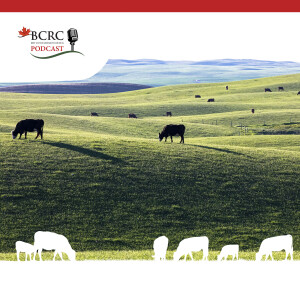 Episode 70: Developing a Grazing Plan