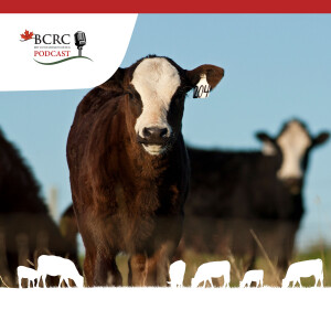 Episode 72: Cracking the Code on Grazing Management