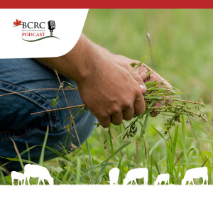 Episode 73: Forage Without Borders
