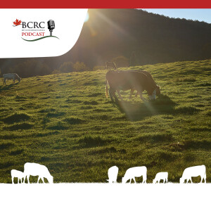 Episode 74: Beef Cattle and the Carbon Cycle
