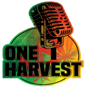 ONE Harvest Podcast (Episode 16)