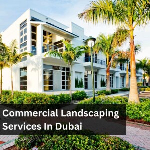 Al Musthafa Landscape: Commercial Landscaping Company In Dubai