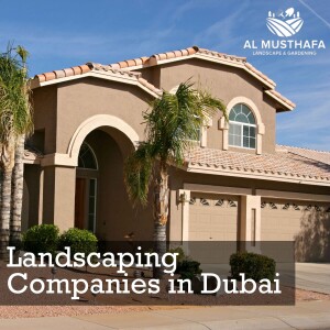 Al Musthafa Landscape: Leading Landscaping Company in Dubai, UAE