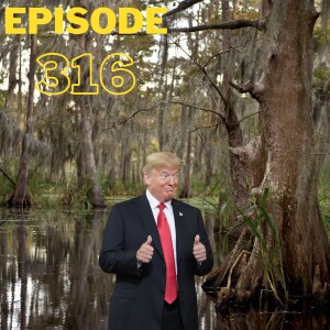 Look Forward - Ep316: It Reswamp’d-afied