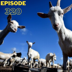 Look Forward - Ep320: The House GOP is a Goat Rodeo