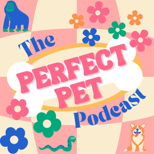 FEED DROP: The Perfect Pet Podcast | S3 Ep. 16 - Tammy’s Choice