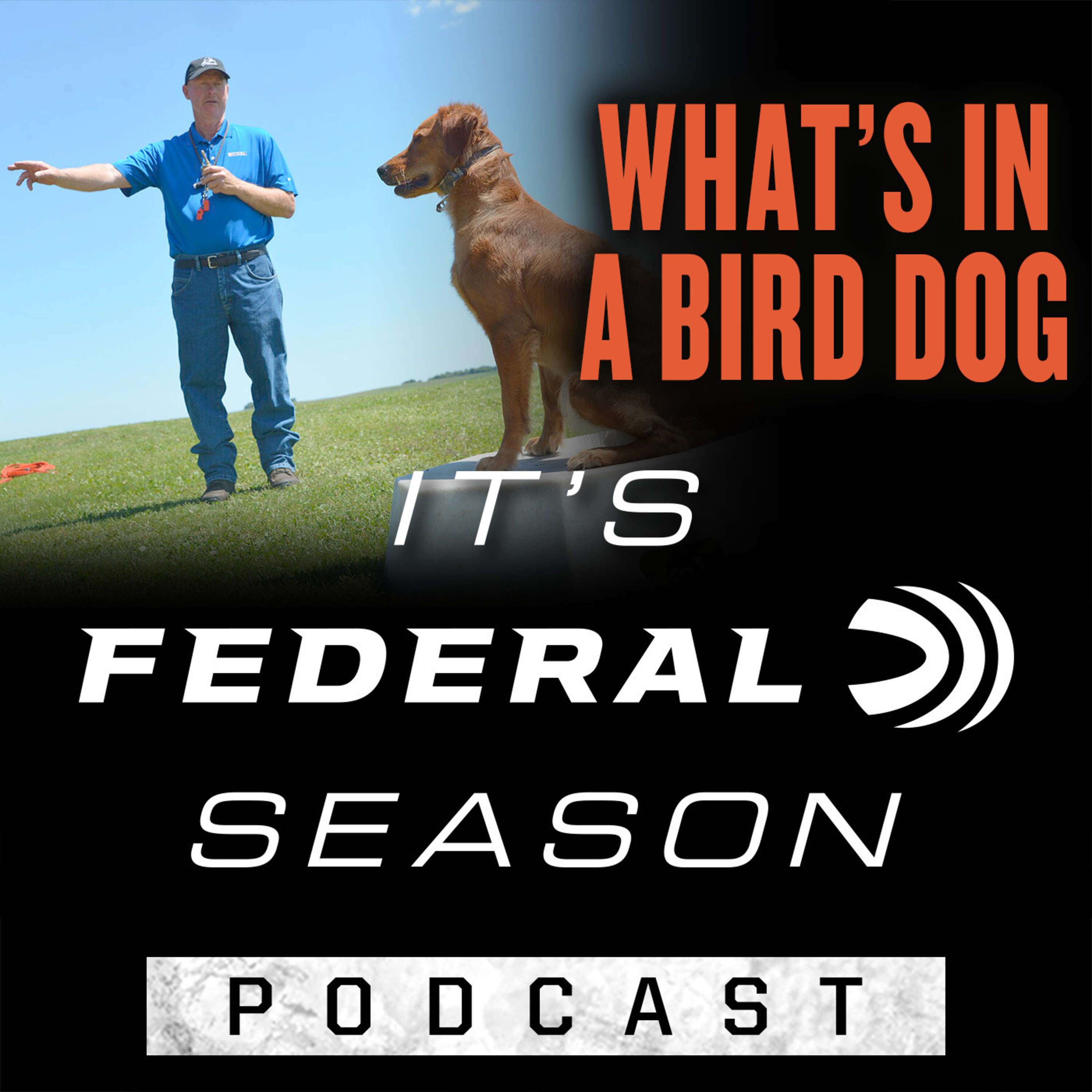 It\'s Federal Season